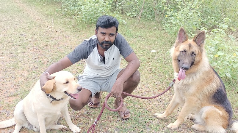 Aachumma dog kennel and boarding — Photo 3