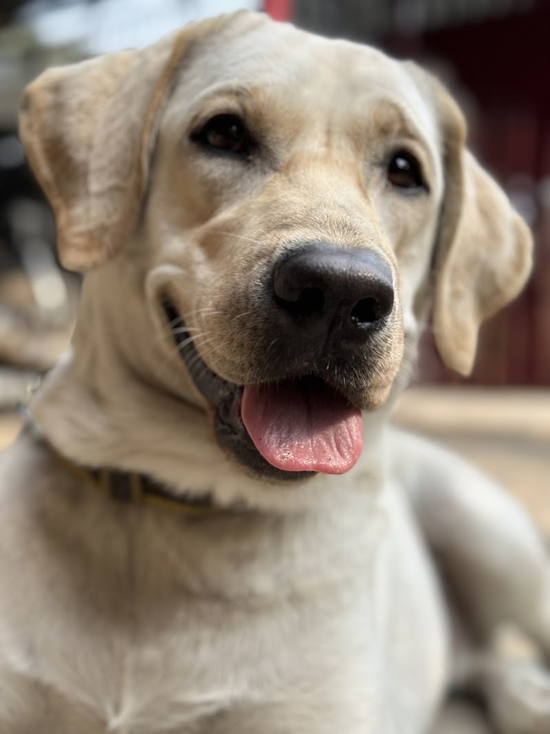 ABB Pet Hub — Photo 2