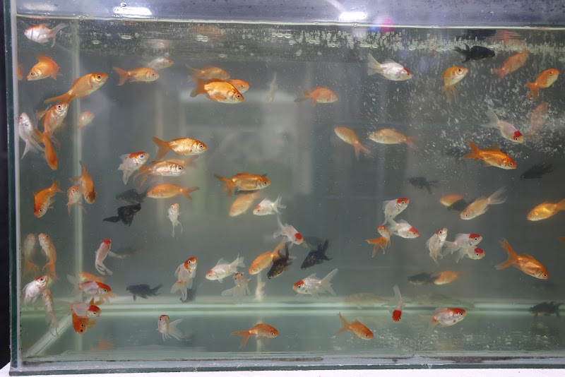 ABB Pet Hub — Photo 4