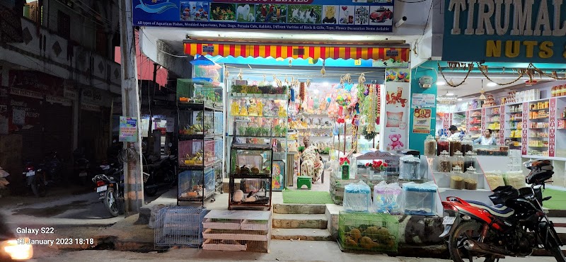 ABHI FISH PLAZA GIFTS AND NOVELTIES