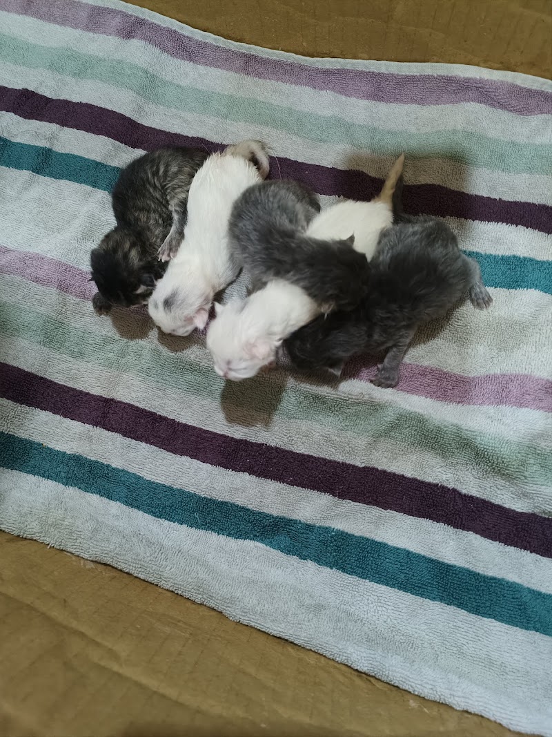 Abhishek Pet World 🌍 — Photo 1