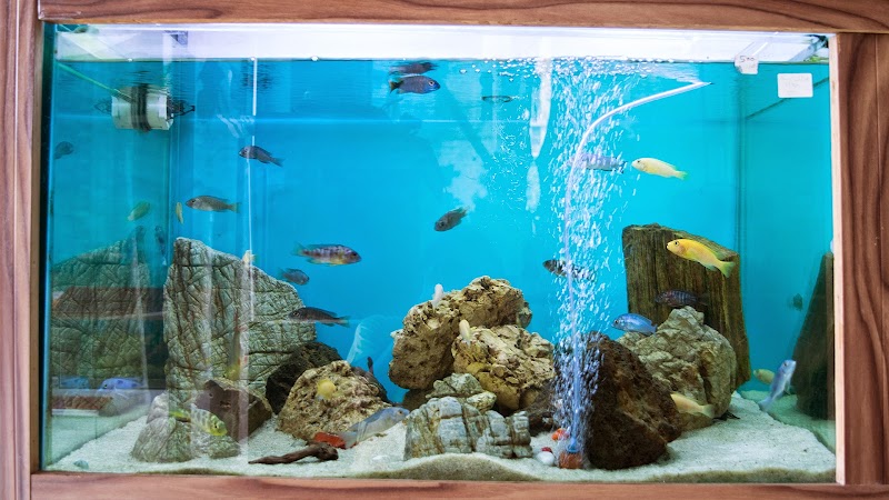 Aishwarya Pets — Photo 4