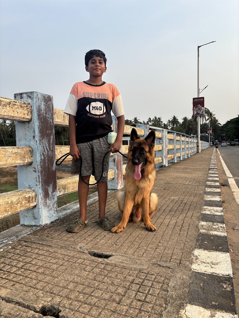 Ajith k9 Dog trainer — Photo 3