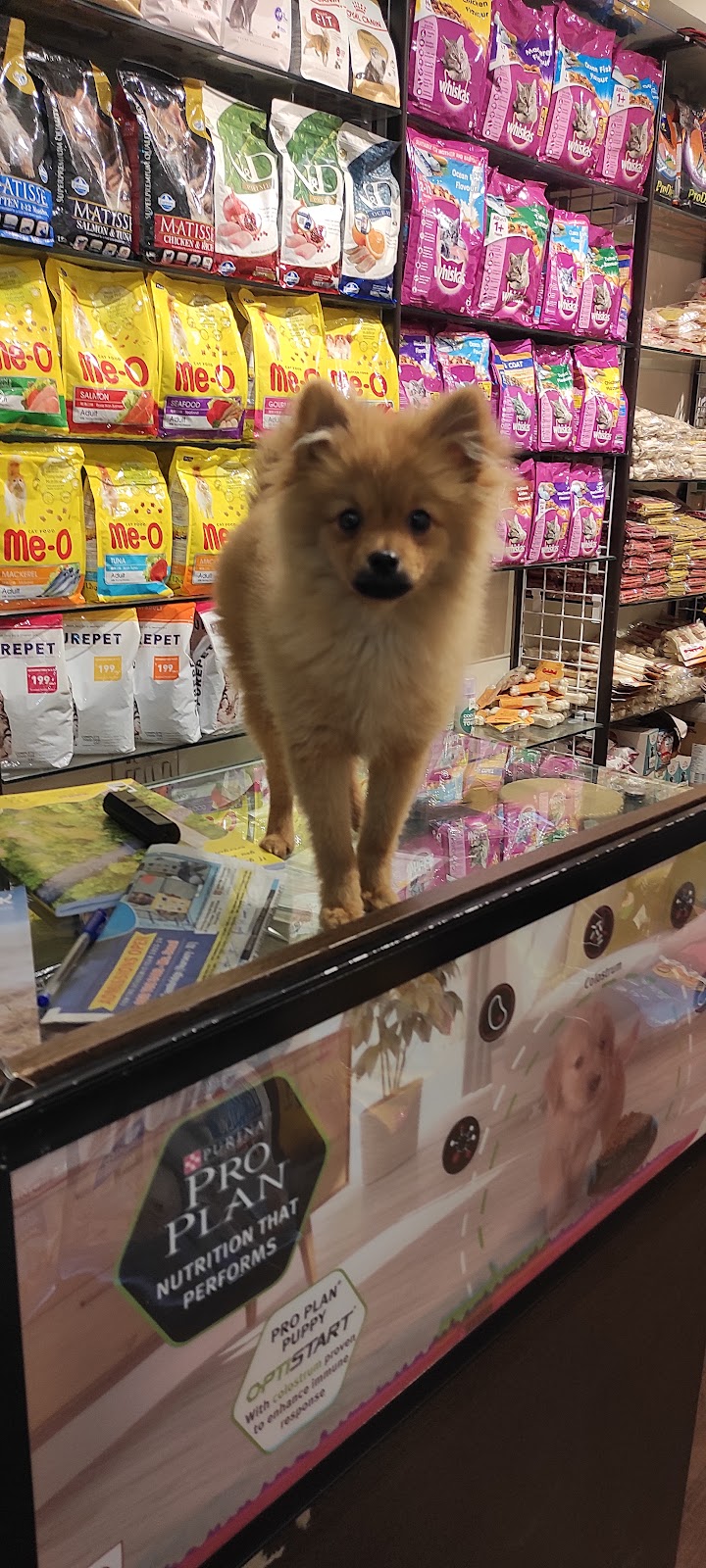 Akshit Pets Corner — Photo 2