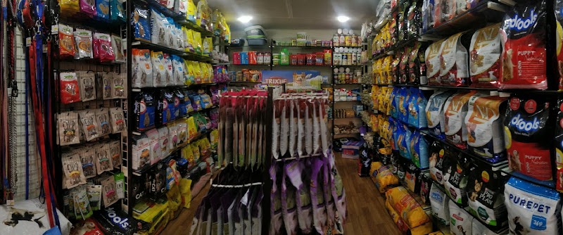 Akshit Pets Corner — Photo 4