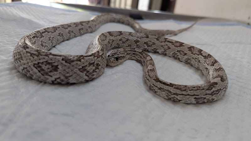 All Animal Care Center — Photo 2