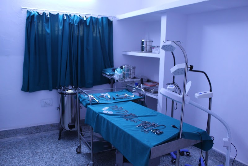 All for Dogs — Photo 3