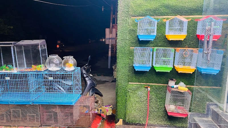 All happy paws — Photo 2