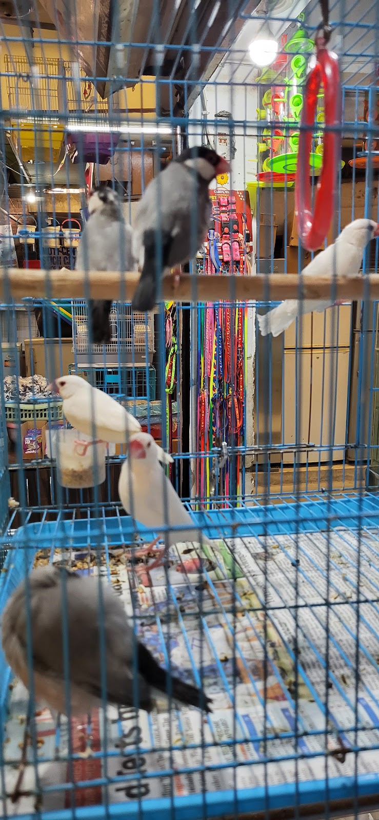 All Pets Stores n Farm — Photo 2