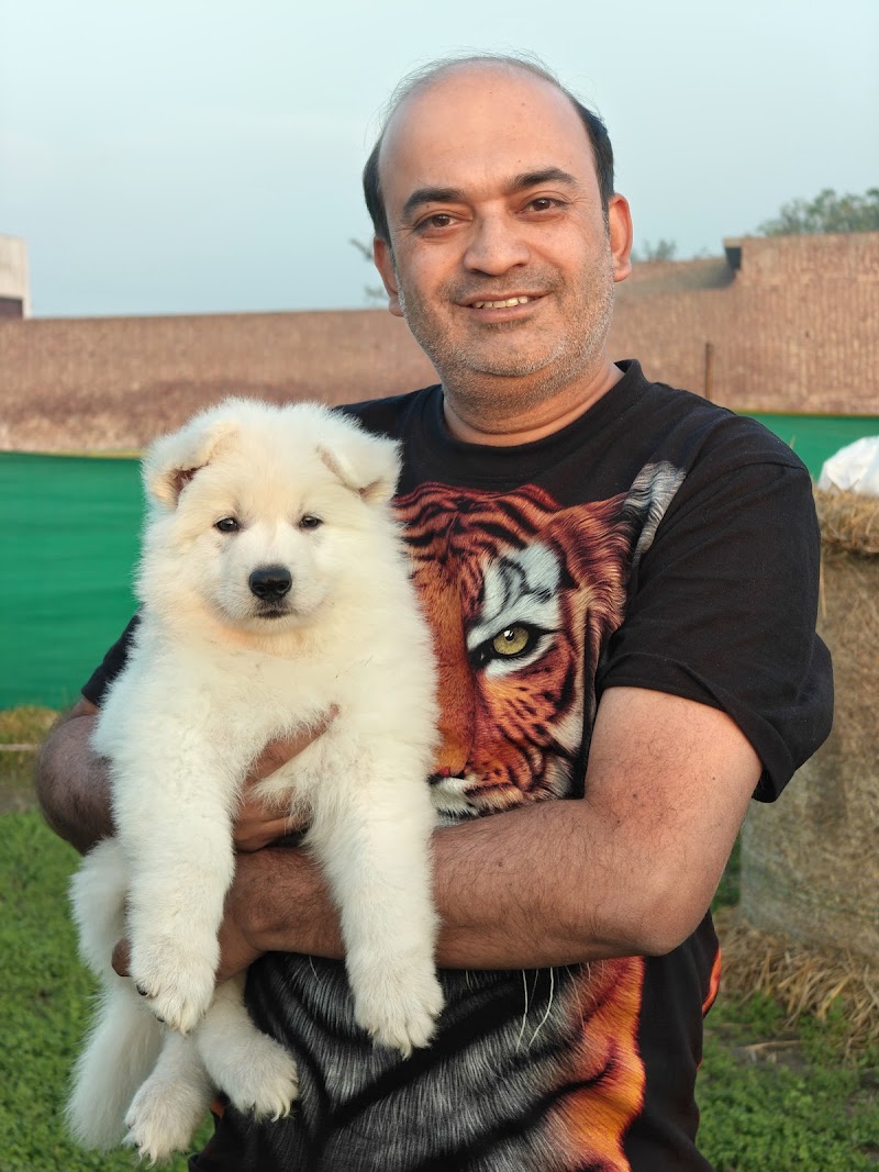 All Pets Stores n Farm — Photo 3