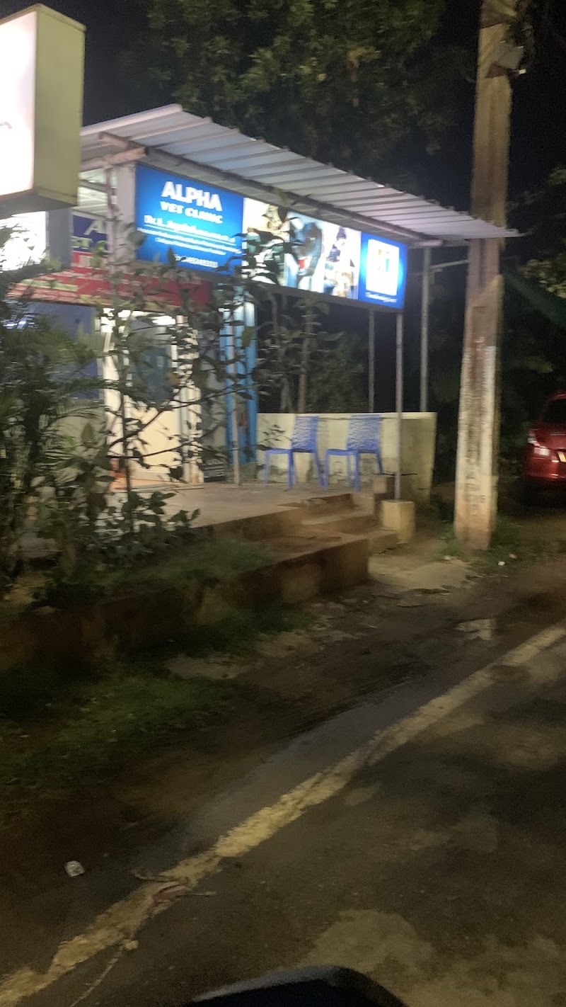 Alpha Vet Clinic — Photo 2