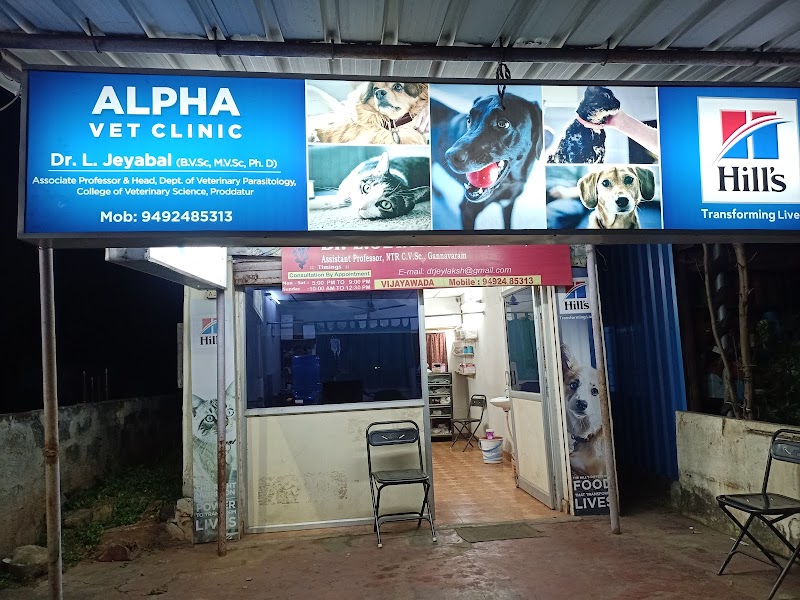 Alpha Vet Clinic — Photo 3