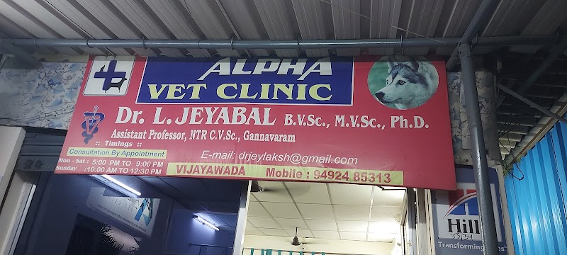 Alpha Vet Clinic — Photo 4