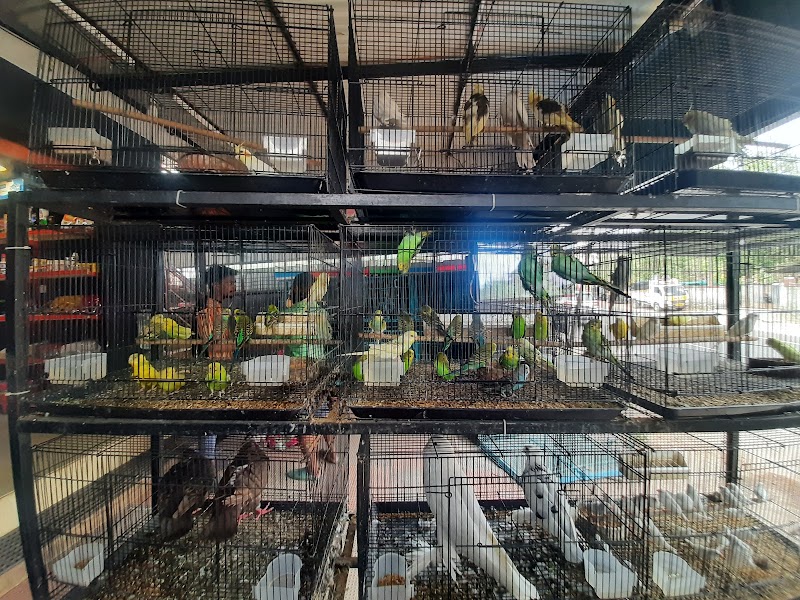 Amigo Pet Center — Photo 2