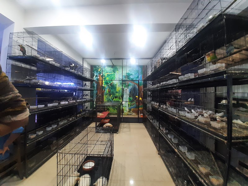 Amigo Pet Center — Photo 3