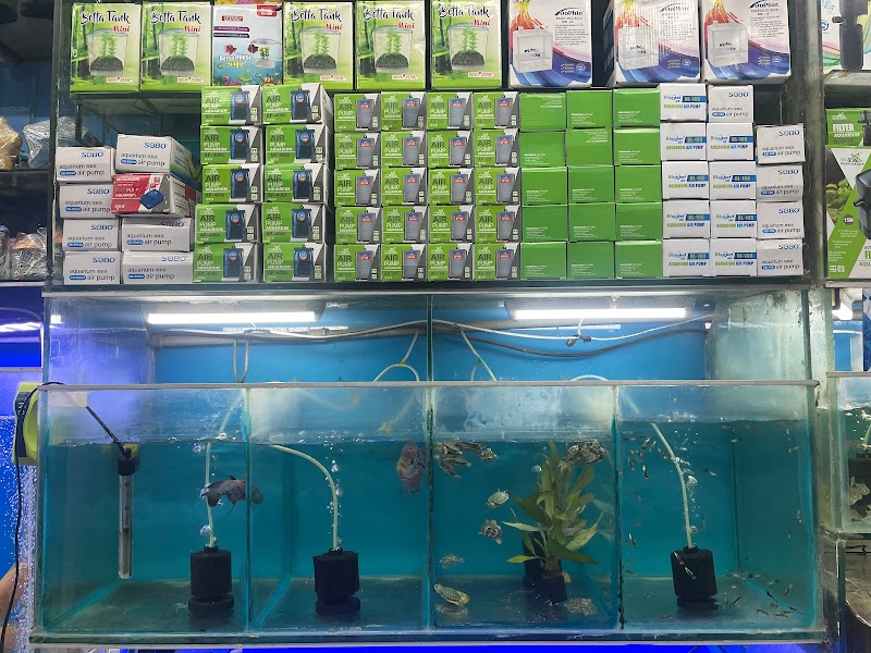 Amma Aquarist — Photo 2