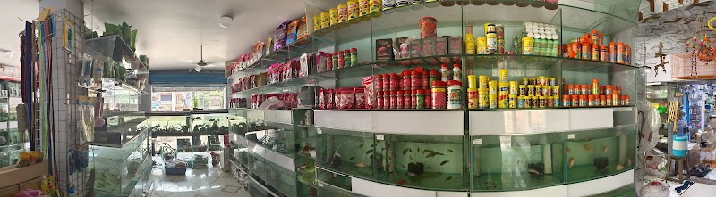 Amma Aquarist — Photo 3