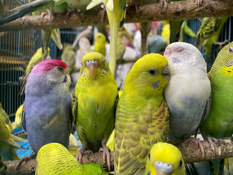 Amma Aquarist — Photo 4