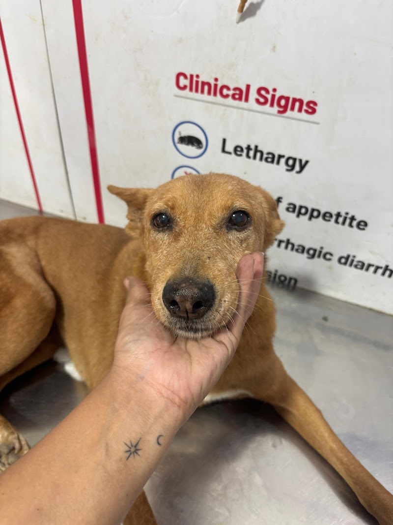 ๐๐๐๐๐๐ ๐๐๐ ๐๐๐๐๐๐ & ๐๐๐๐๐๐๐ ๐๐๐๐๐๐ โ Photo 3