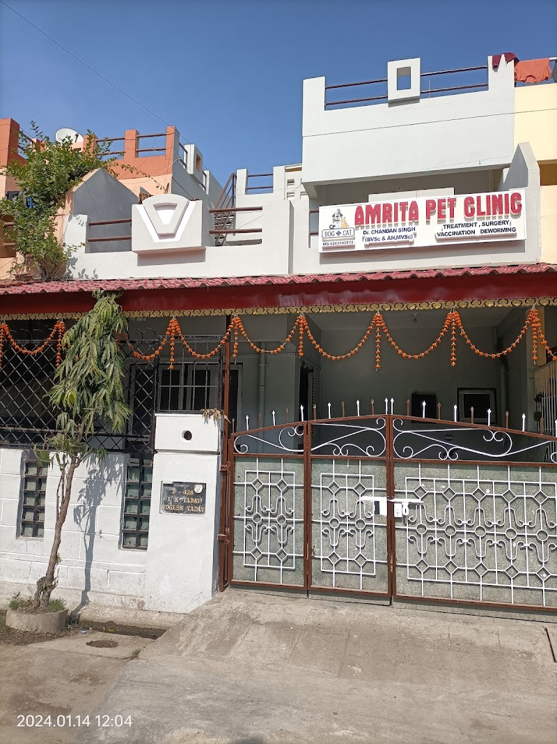 ๐๐๐๐๐๐ ๐๐๐ ๐๐๐๐๐๐ & ๐๐๐๐๐๐๐ ๐๐๐๐๐๐ โ Photo 4