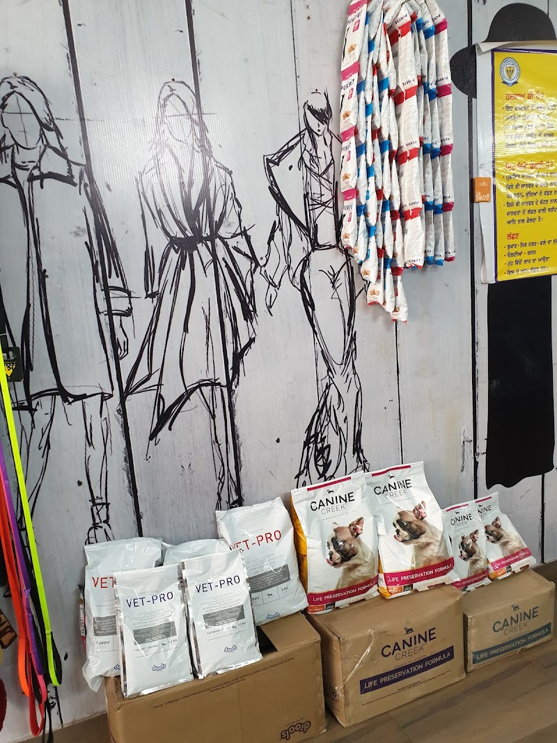 Amritsar Pet Clinic-Best Pet Clinic/Pet Surgeon/Pet Accessories/Pet Grooming in Amritsar — Photo 3