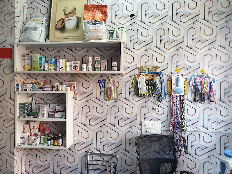 Amritsar Pet Clinic-Best Pet Clinic/Pet Surgeon/Pet Accessories/Pet Grooming in Amritsar — Photo 2