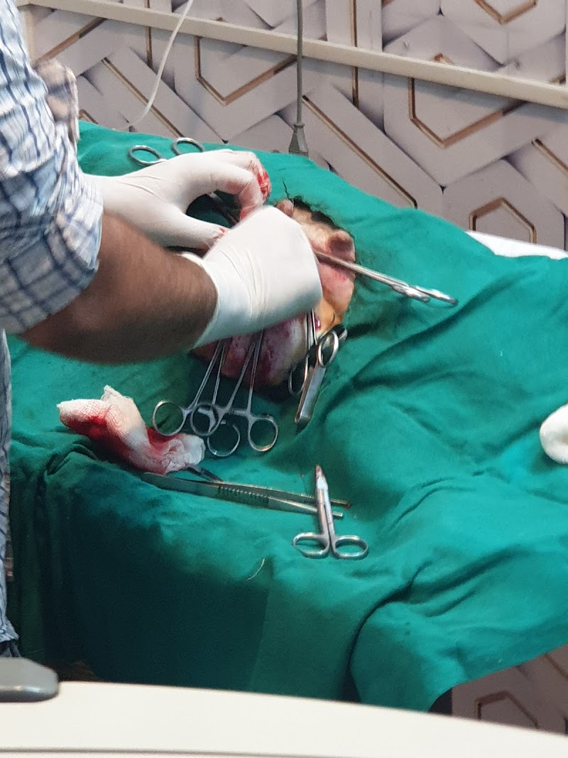 Amritsar Pet Clinic-Best Pet Clinic/Pet Surgeon/Pet Accessories/Pet Grooming in Amritsar — Photo 4
