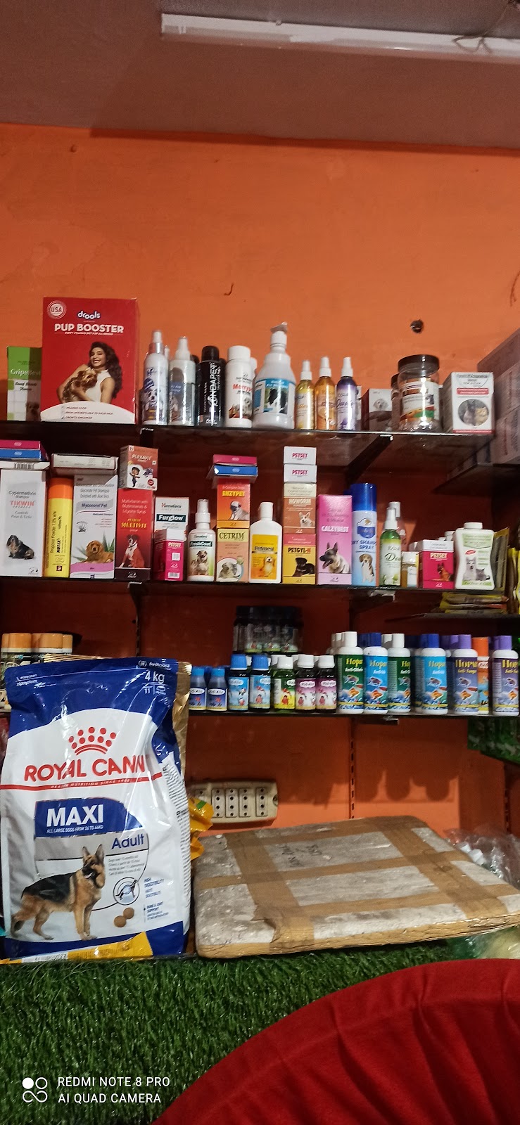 Angel fish aquarium — Photo 4