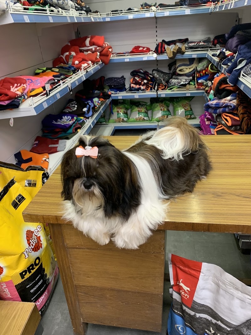 ANIL'S 22 - THE PET SHOP — Photo 3