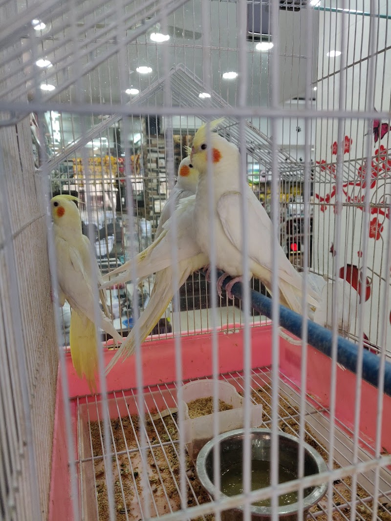 Anil's 22 The Pet Shop — Photo 3