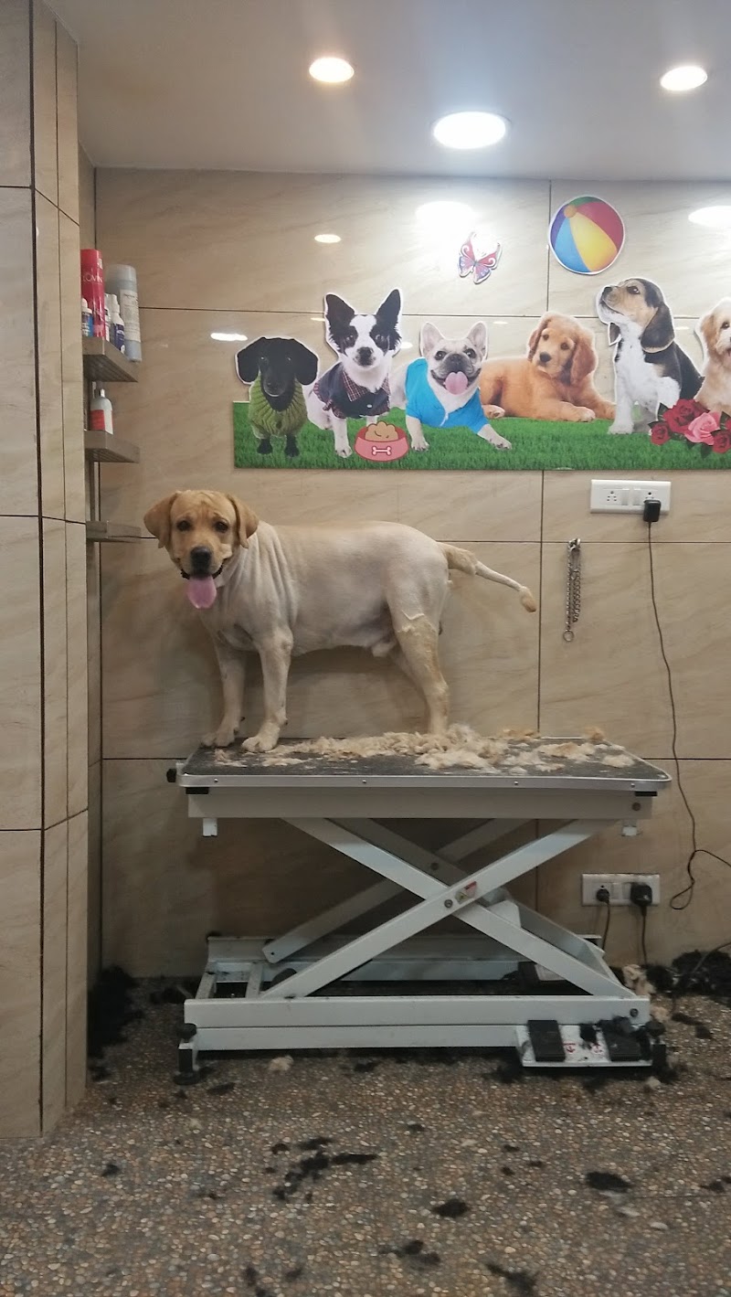 Anil's 22 The Pet Shop — Photo 4