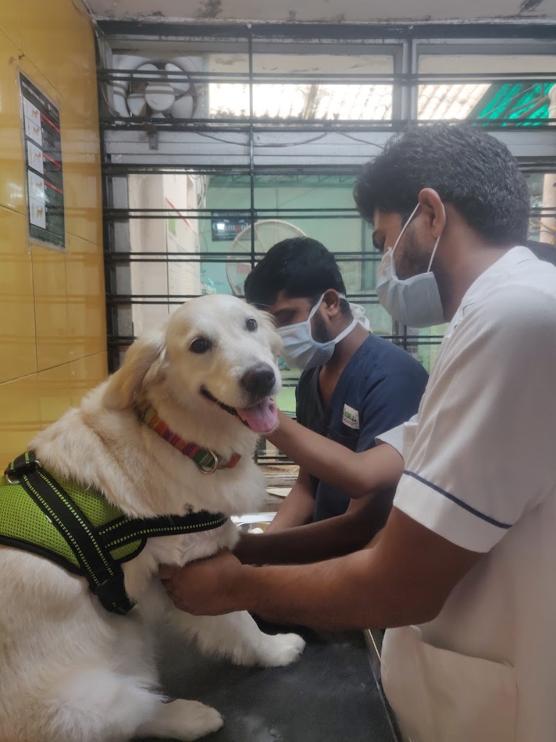 Animal Care Clinic — Photo 3