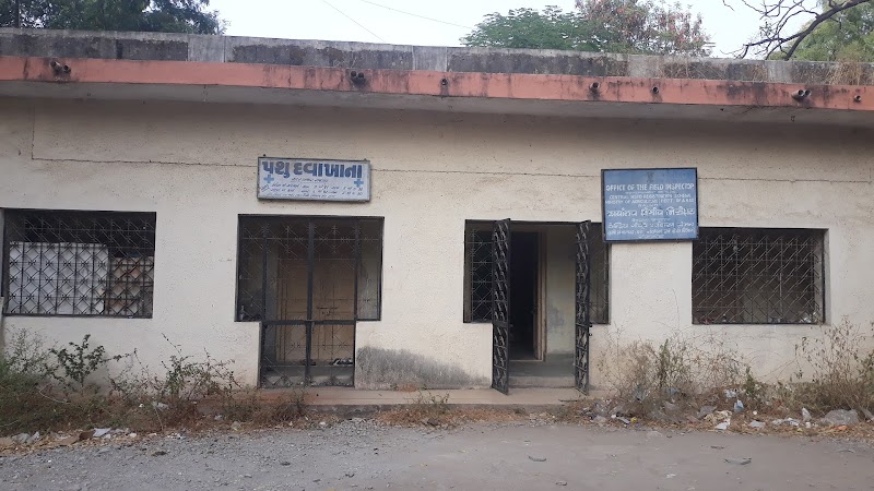 Animal Hospital (પશુ દવાખાનું) — Photo 2