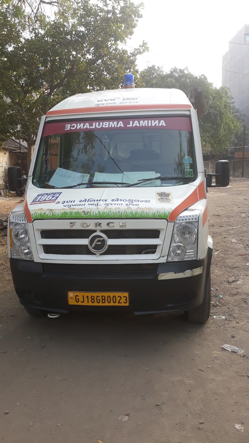 Animal Hospital (પશુ દવાખાનું) — Photo 4