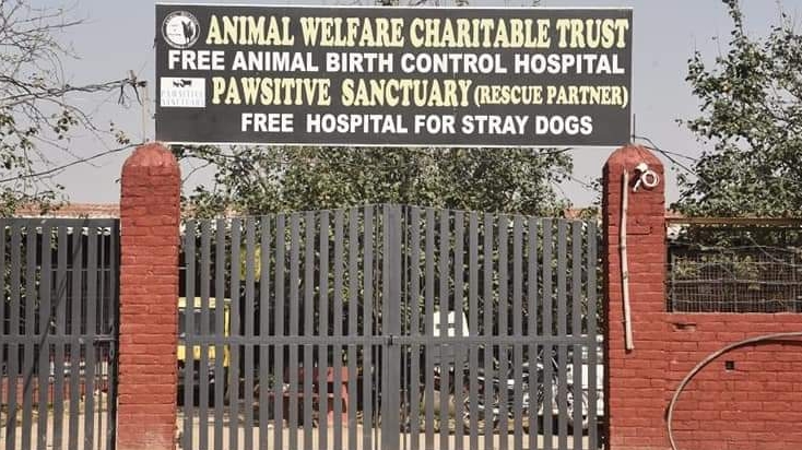 Animal welfare charitable trust