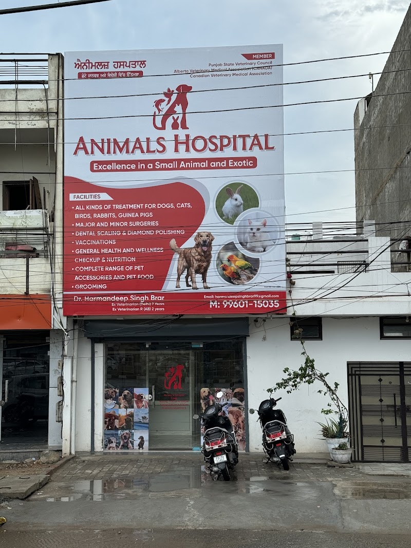 Animals Hospital — Photo 2