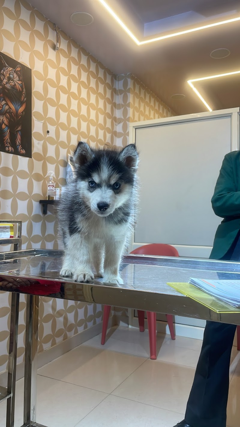 Animals Hospital — Photo 3