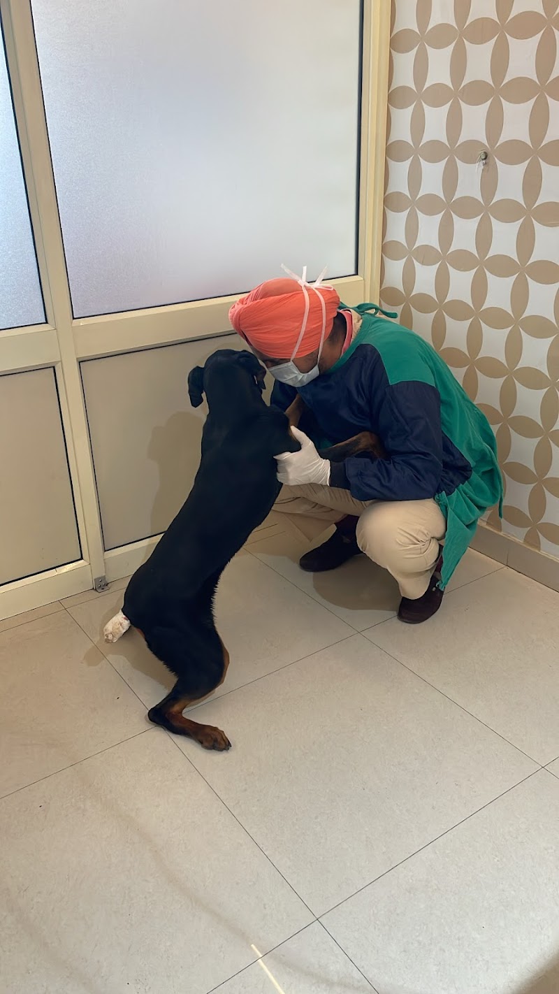 Animals Hospital — Photo 4