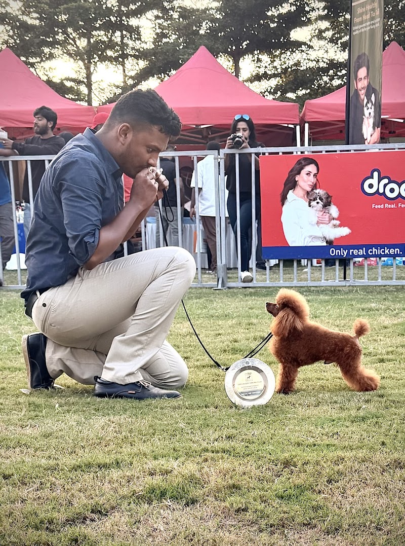 Animaux kennel — Photo 4