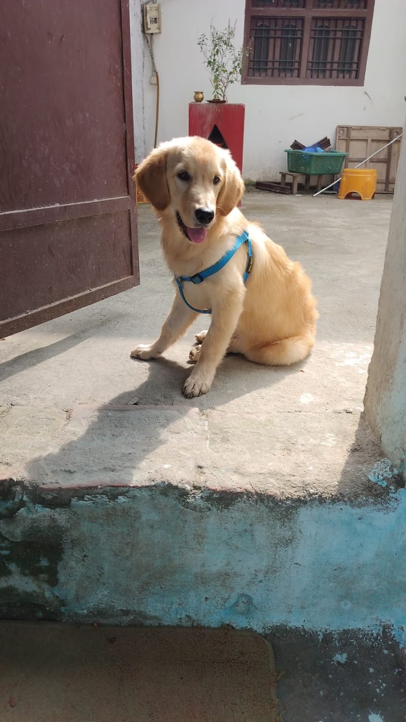 Animlslover — Photo 3