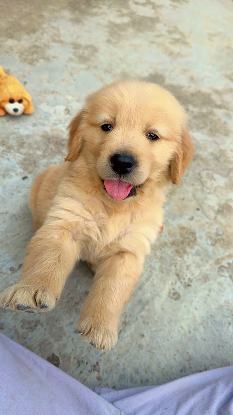 Animlslover — Photo 4