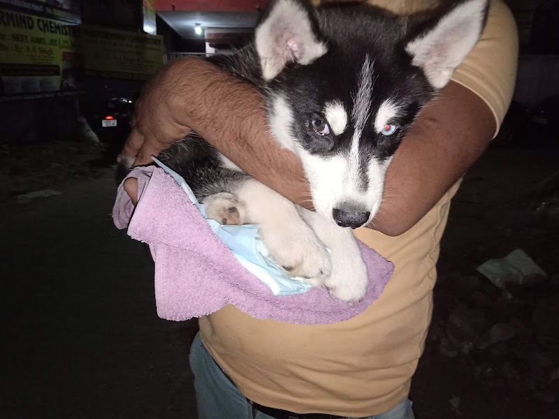 Animo Pet Care — Photo 2