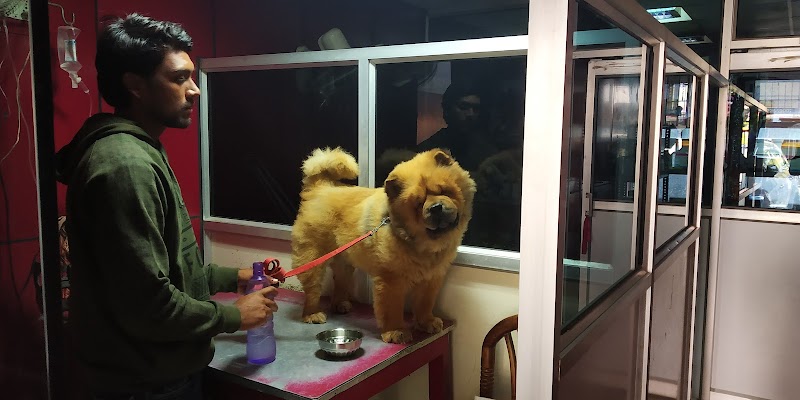 Animo Pet Care — Photo 3