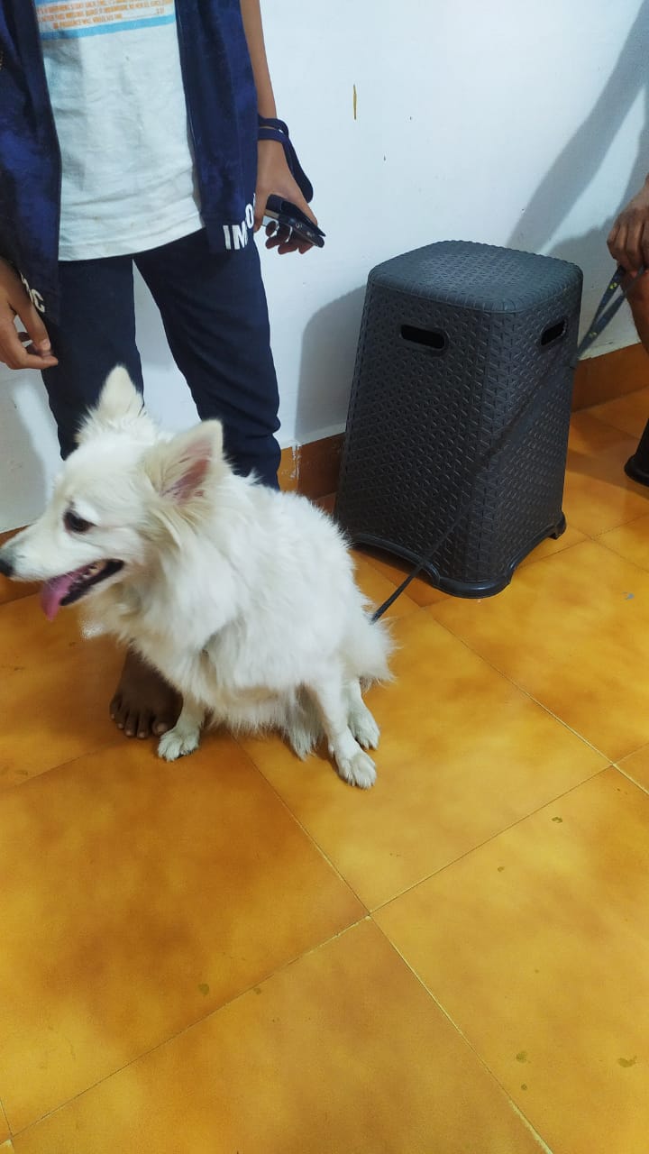 Anisha Pet Care Clinic — Photo 3