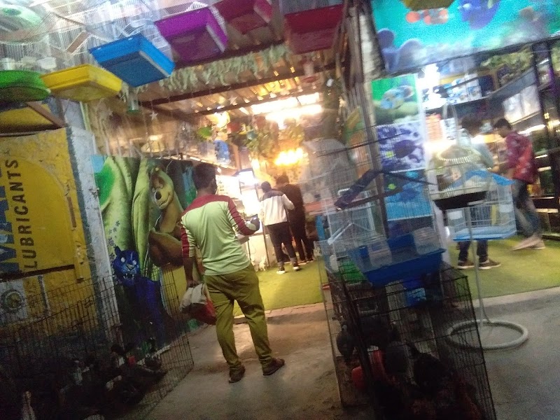 Anjali Pet Shop