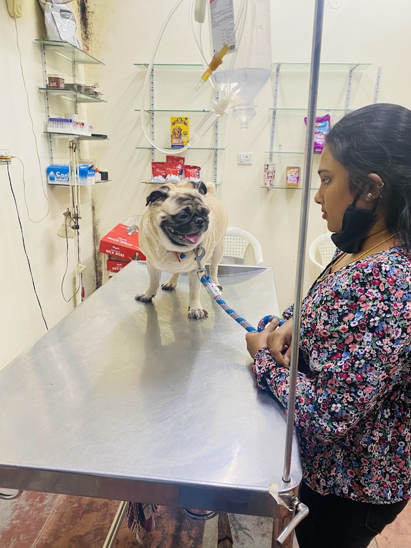 Anu Pet Clinic — Photo 1