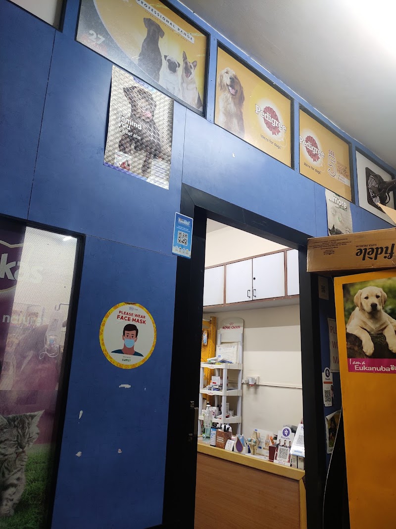 Anu Pet Clinic — Photo 4