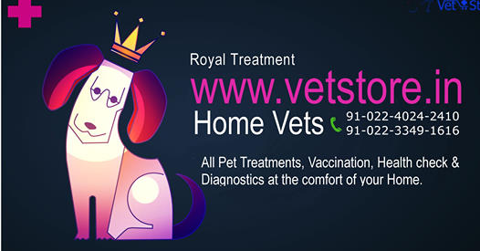 Anytime Vetstore — Photo 3