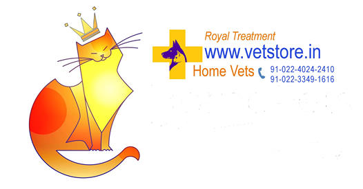 Anytime Vetstore — Photo 4