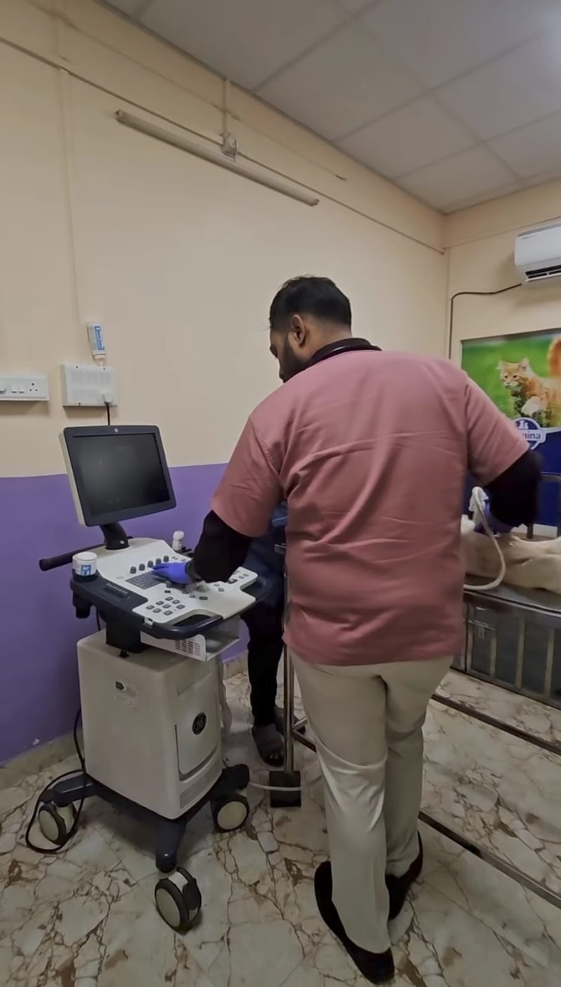 Apex Vets | Best Pet Clinic in Varanasi | Best Pet grooming centre in Varanasi | Best Pet Surgical Treatment in Varanasi